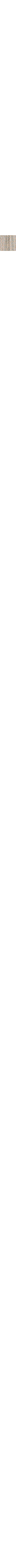 Patterned Ecru