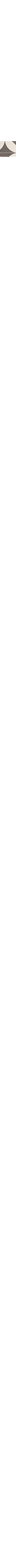 Gris à motif