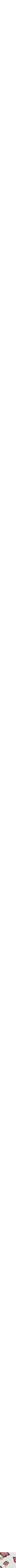 Assorti