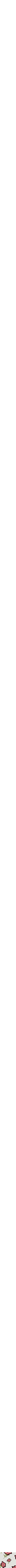 Assorti