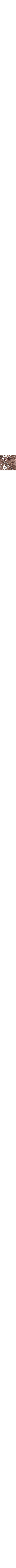 Brun à motifs