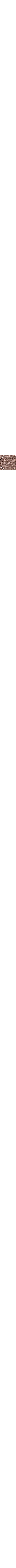 Brun à motifs