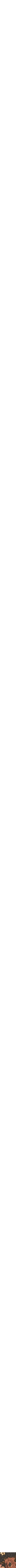 Noir à motifs