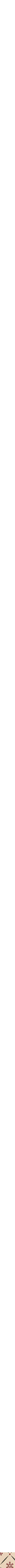 Écru à motifs