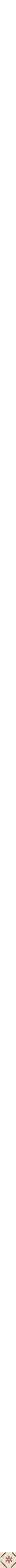 Patterned Ecru