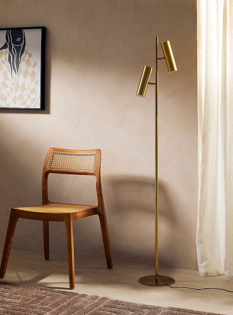 Golden double head projection floor lamp product image 2
