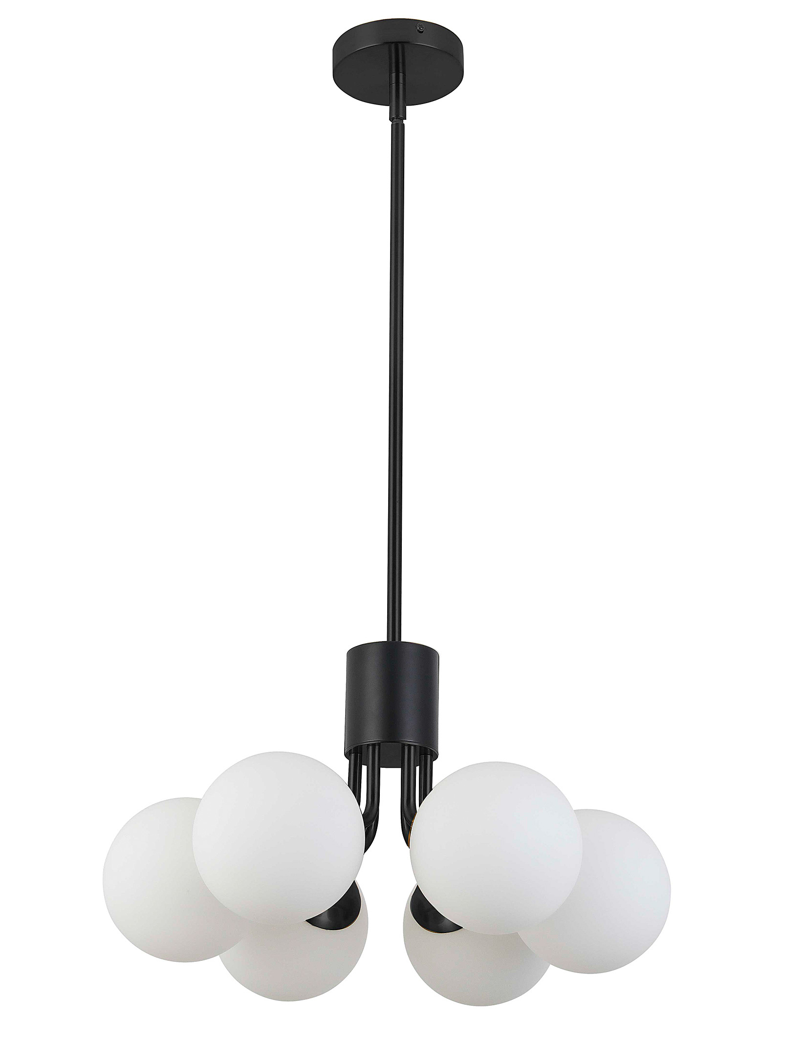 Simons Maison - Black floral ode hanging lamp