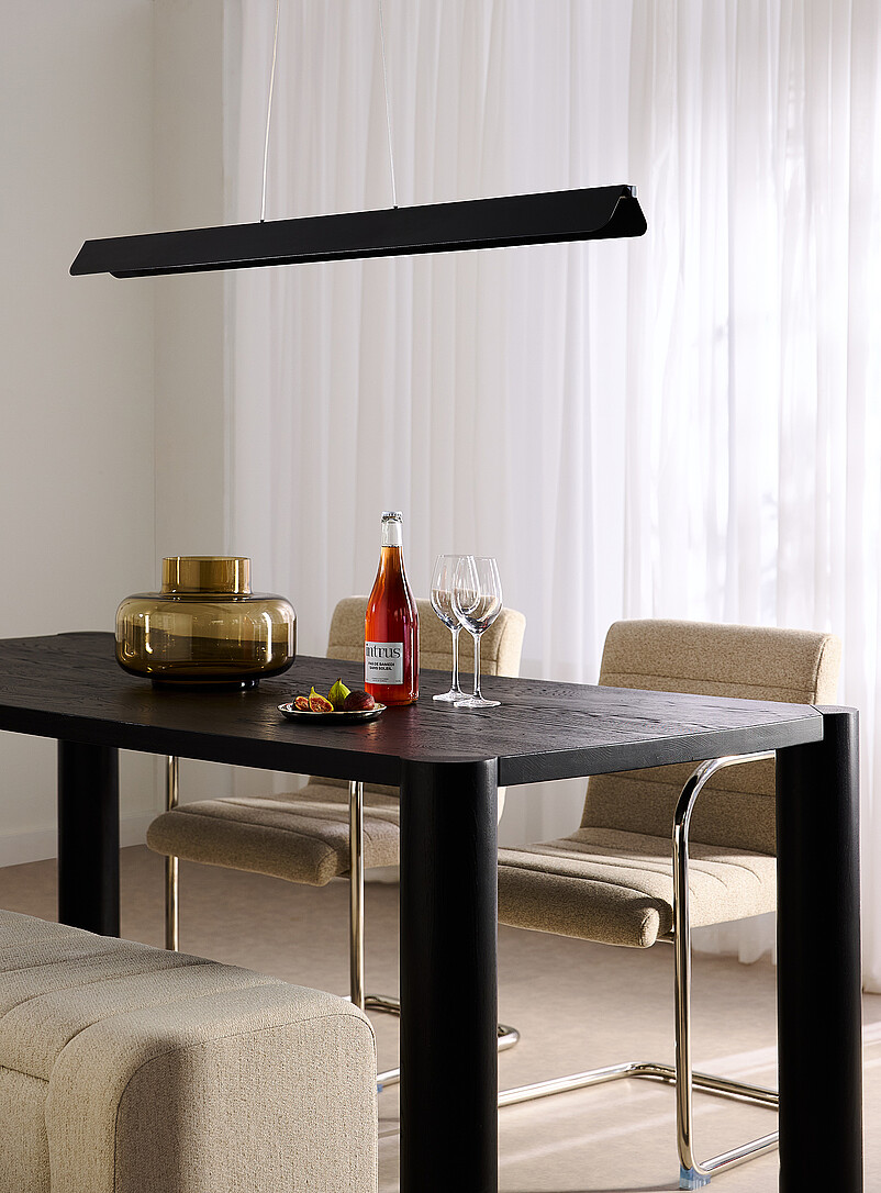 Pamelyn Matte Black Long Light Fixture
