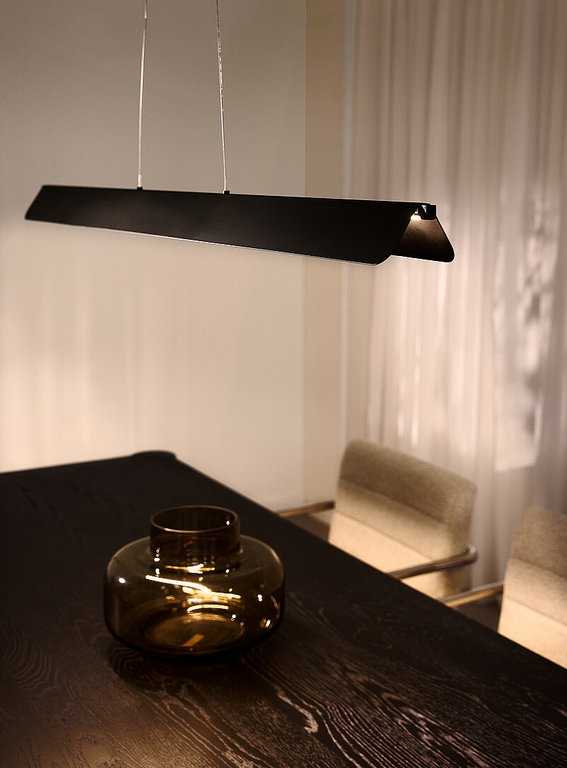 Pamelyn matte black long light fixture product image 2