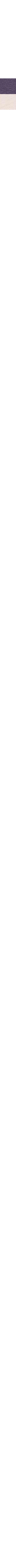 Slate Grey