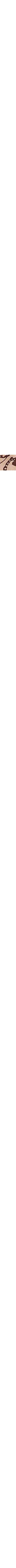 Brun à motifs