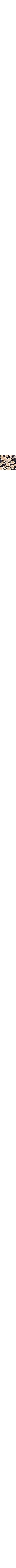 Brun à motifs