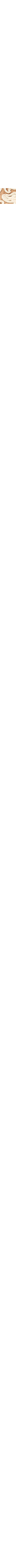 Brun pâle