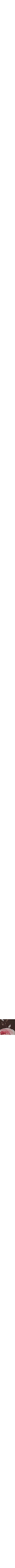 Noir et rose pâle