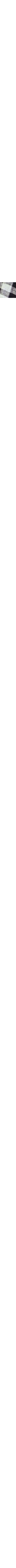 Blanc et noir