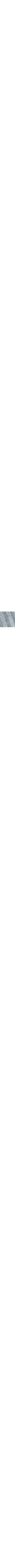 Vert à motifs