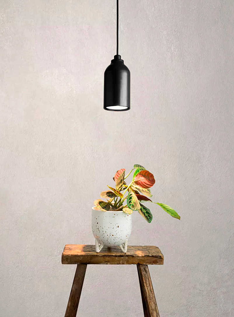 Tungstene Luminaires Créatifs Black Margot hanging grow lamp
