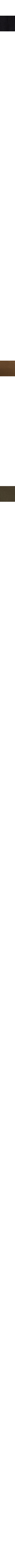 Vert foncé - Mousse