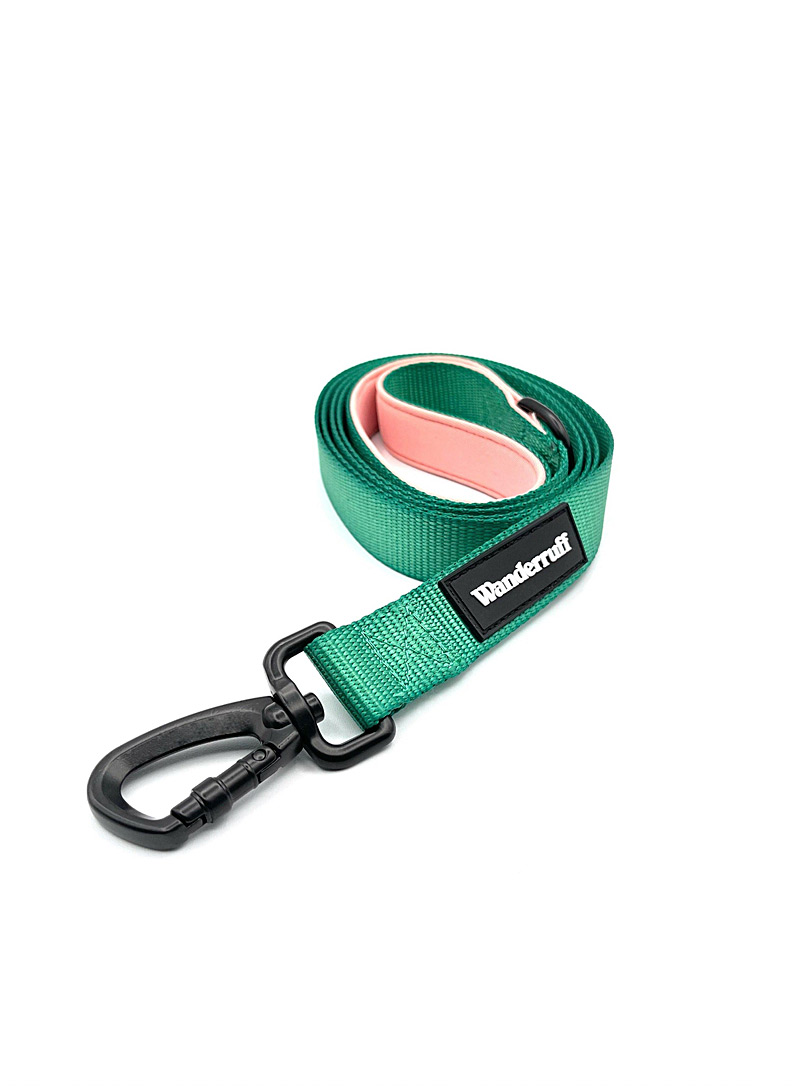 Wanderruff Green Recycled plastic cushioned leash