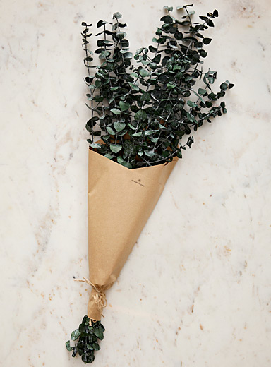 La gerbe d'eucalyptus s&eacute;ch&eacute;