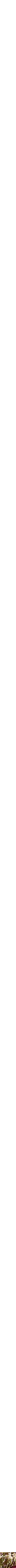 Assorti