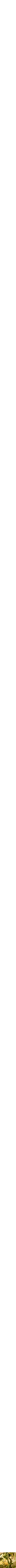 Assorti