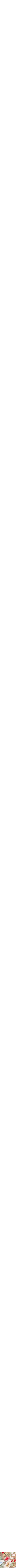 Assorti