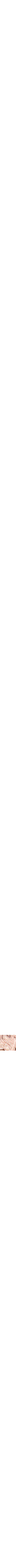 Vieux rose
