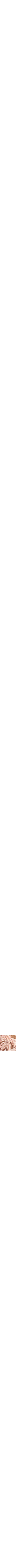 Vieux rose