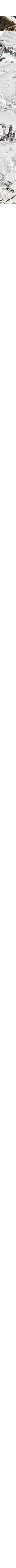 Cancer