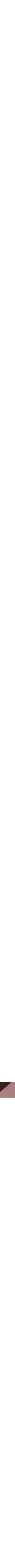 Rouge à motifs