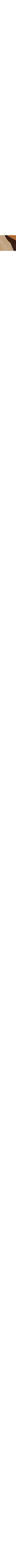 Patterned Ecru