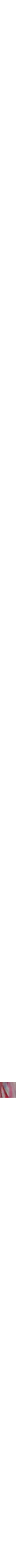Rouge à motifs