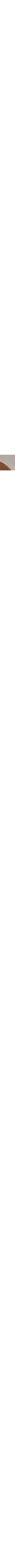Brun à motifs