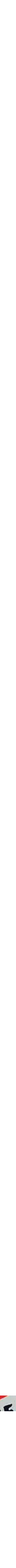 Orange à motifs