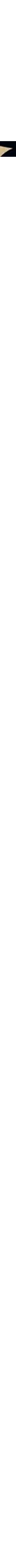 Noir à motifs