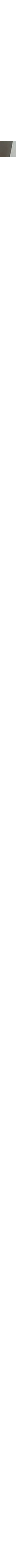 Noir à motifs