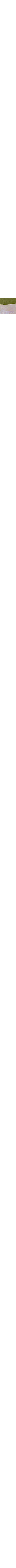 Blanc à motifs