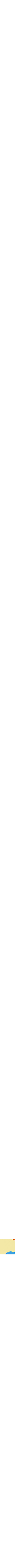 Jaune à motifs