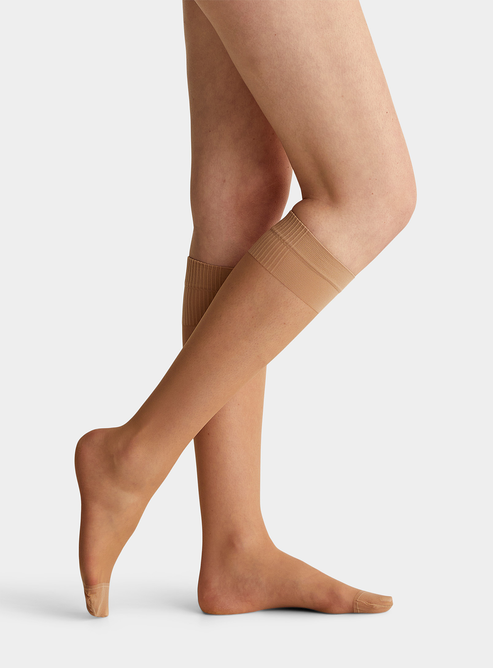 Filodoro Ribbed Band Knee-highs Set Of 2 In Tan