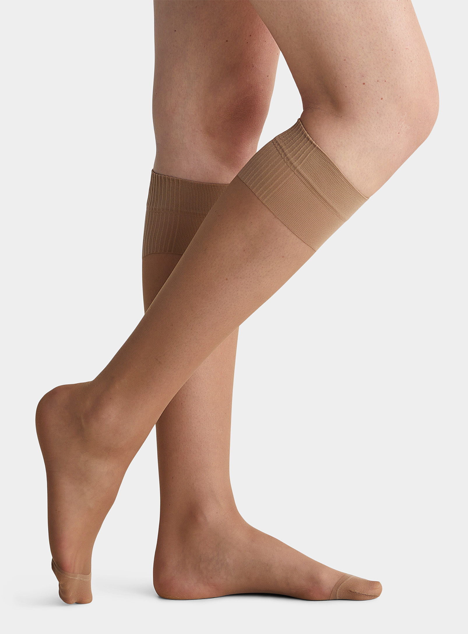 Filodoro Ribbed Band Knee-highs Set Of 2 In Fawn