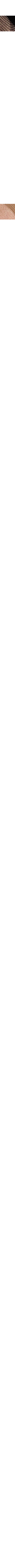 Beige - Grège