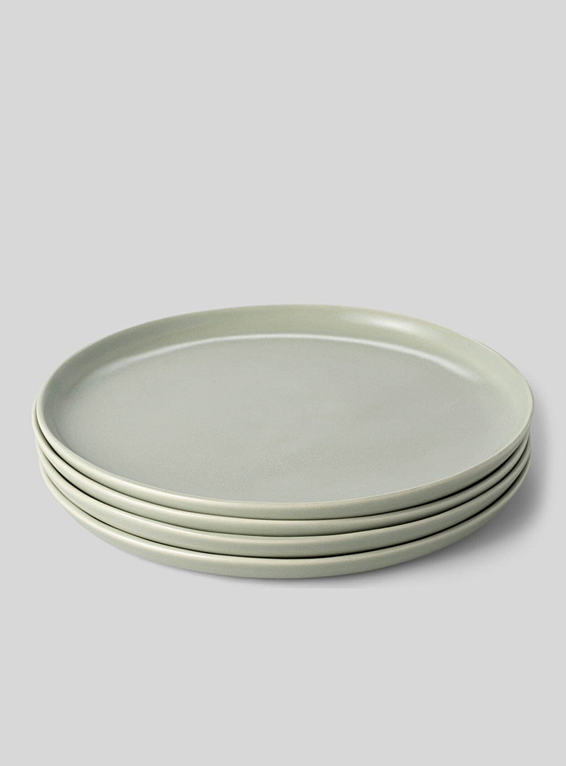 FABLE The Dinner Plates (4-Pack) / Plates