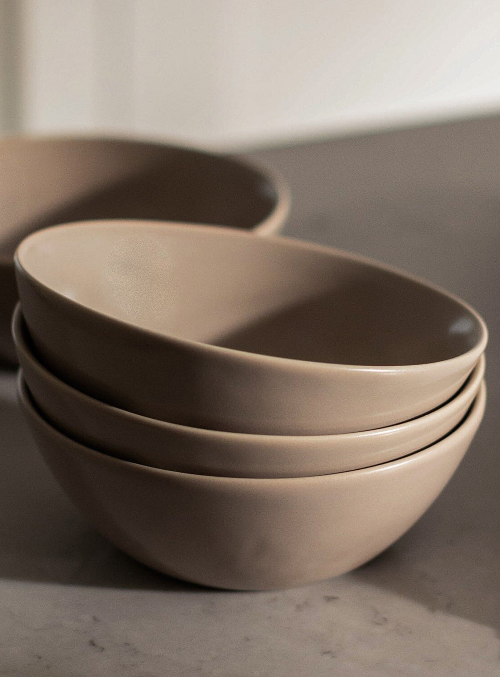 Fable Minimalist Stoneware Bowls Set Of 4 In Brown
