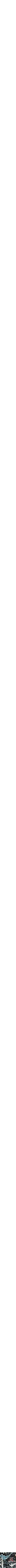 Assorti