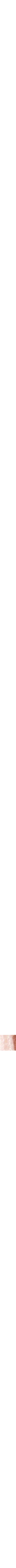 Vieux rose