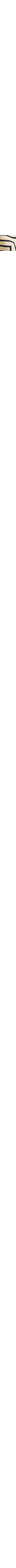 Patterned Ecru