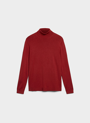Silky knit turtleneck