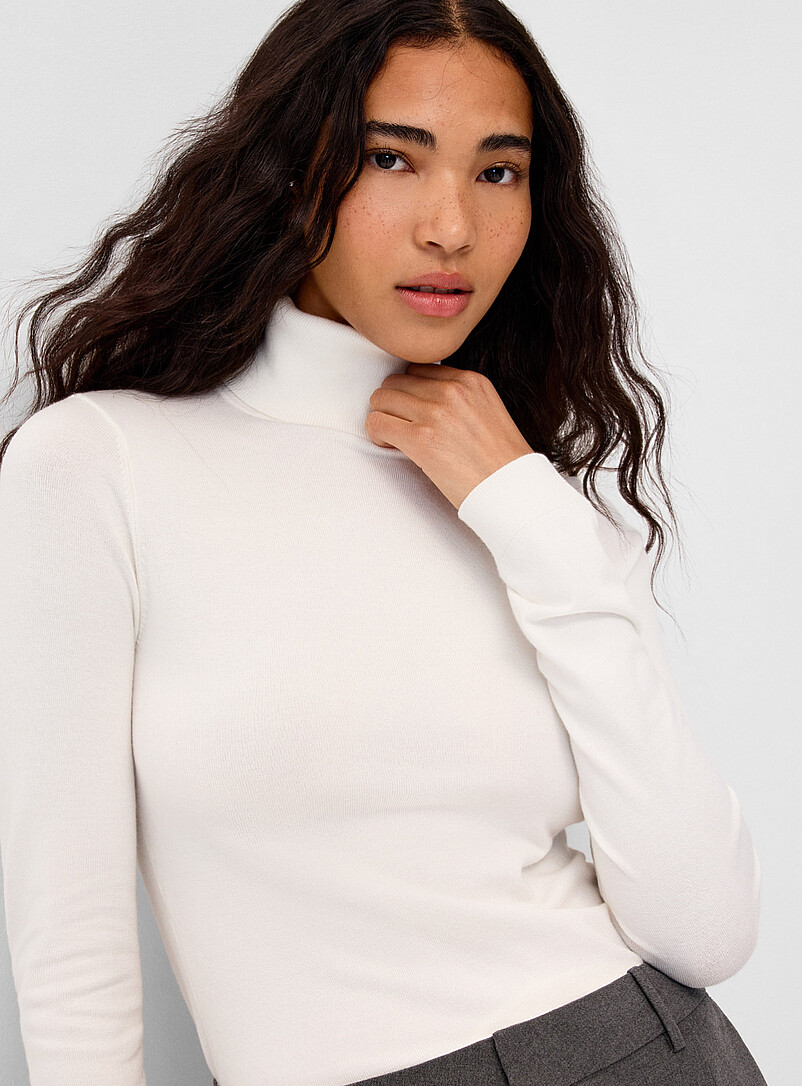 Solid Turtleneck Sweater