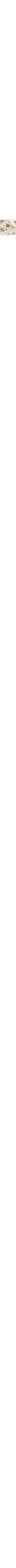 Écru - Lin